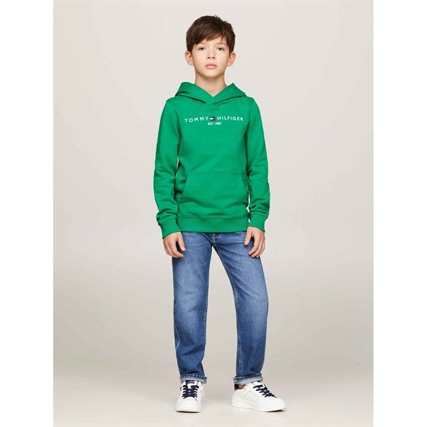 Tommy Hilfiger Essential Hoodie Olympic Green 5