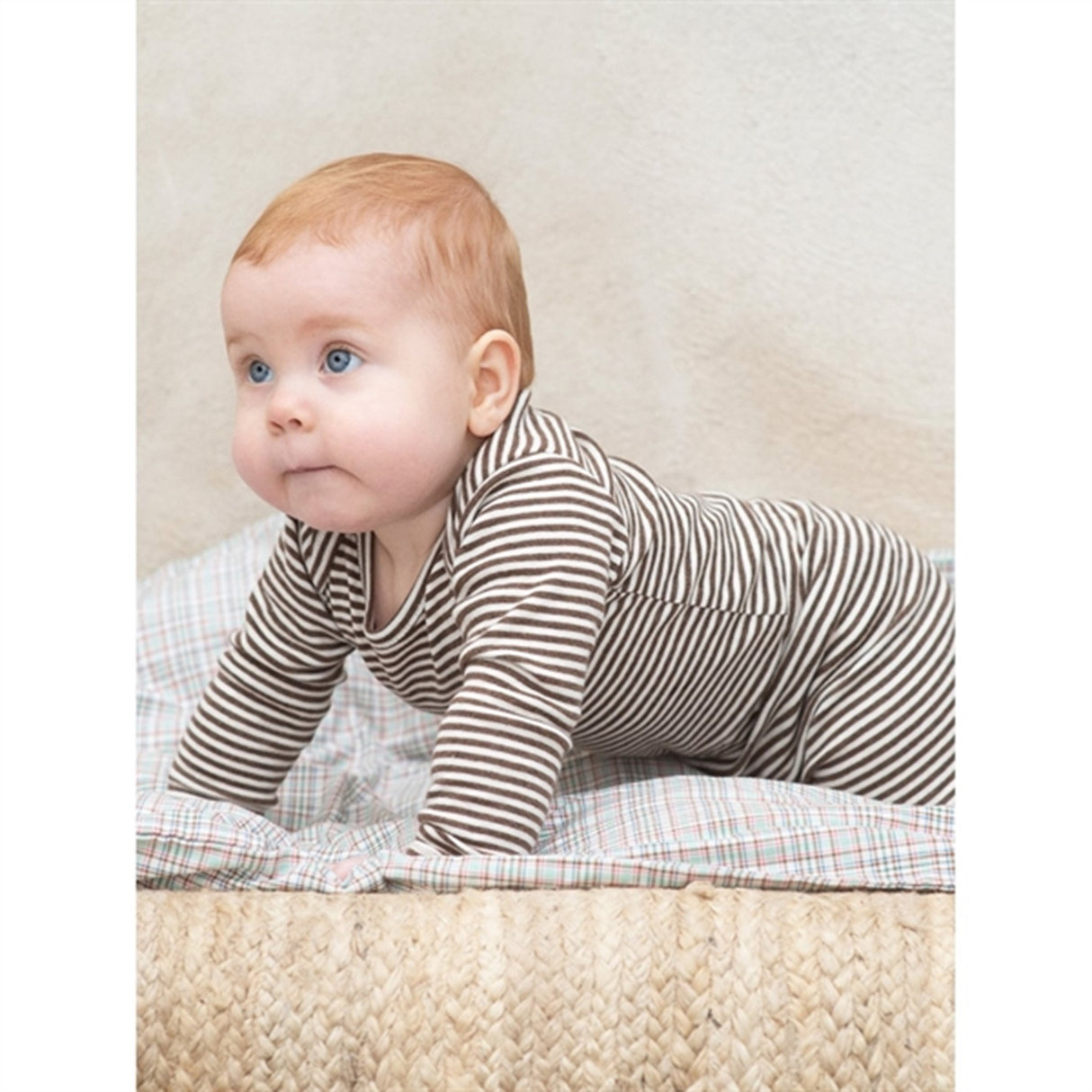 Serendipity Chestnut/Offwhite Baby Body Stripe 2