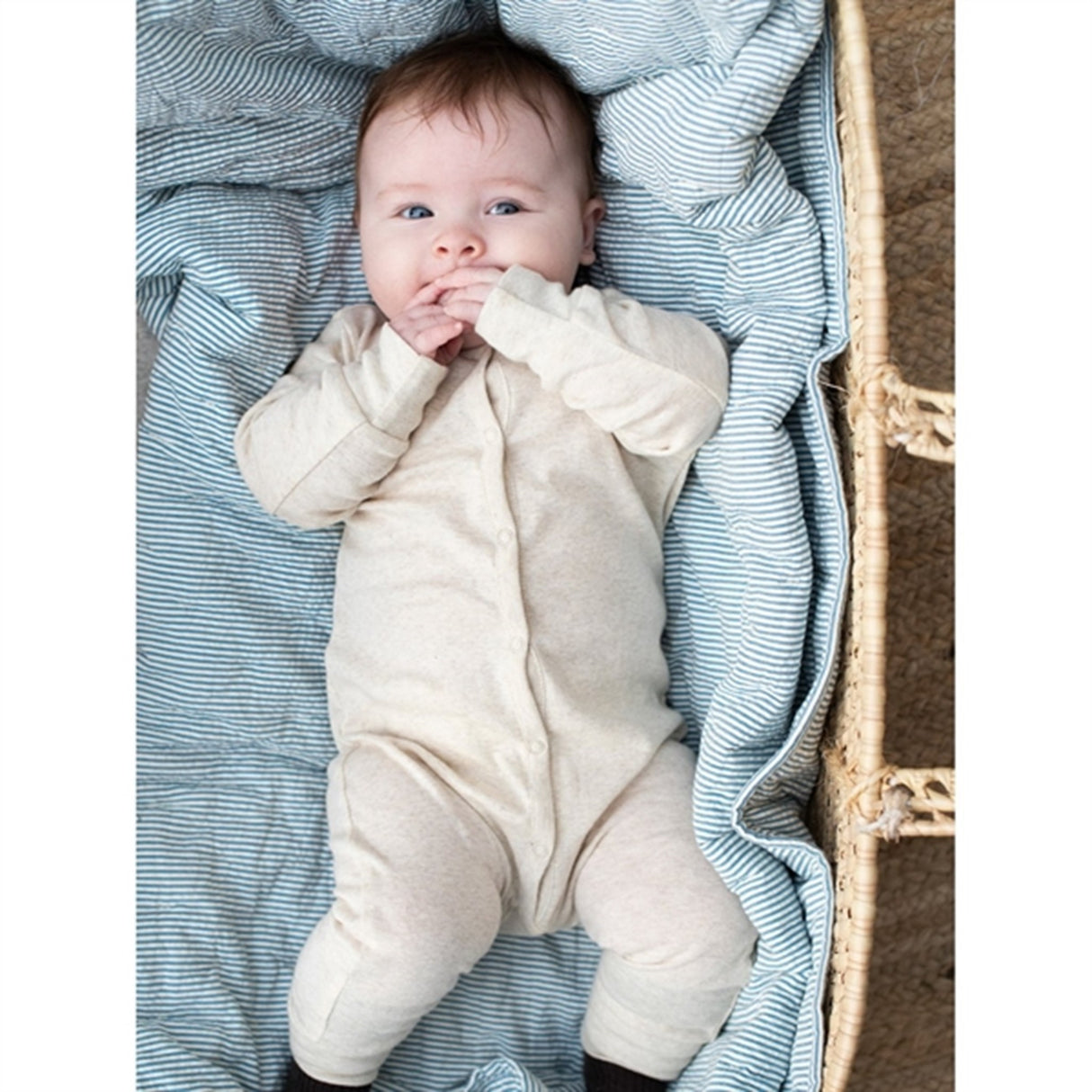 Serendipity Shell Baby Suit 2