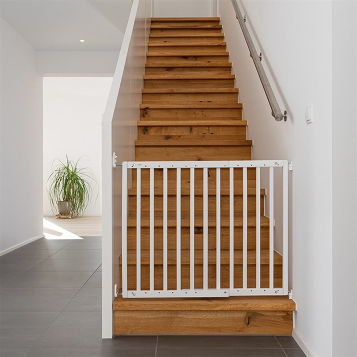 REER Safety Grid Wall-mounted 8