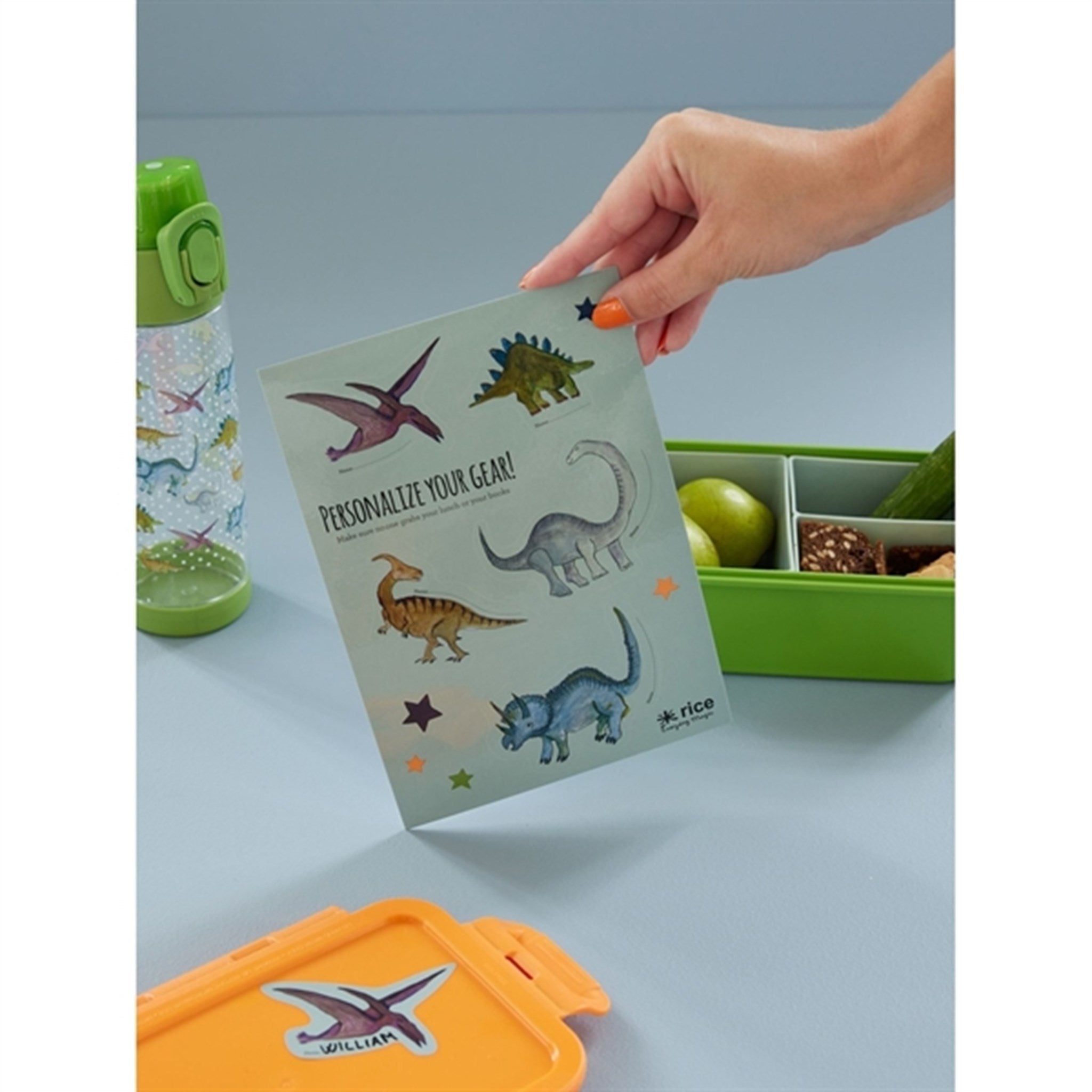 RICE Dinosaur Theme Stickers for Lunchbox 3