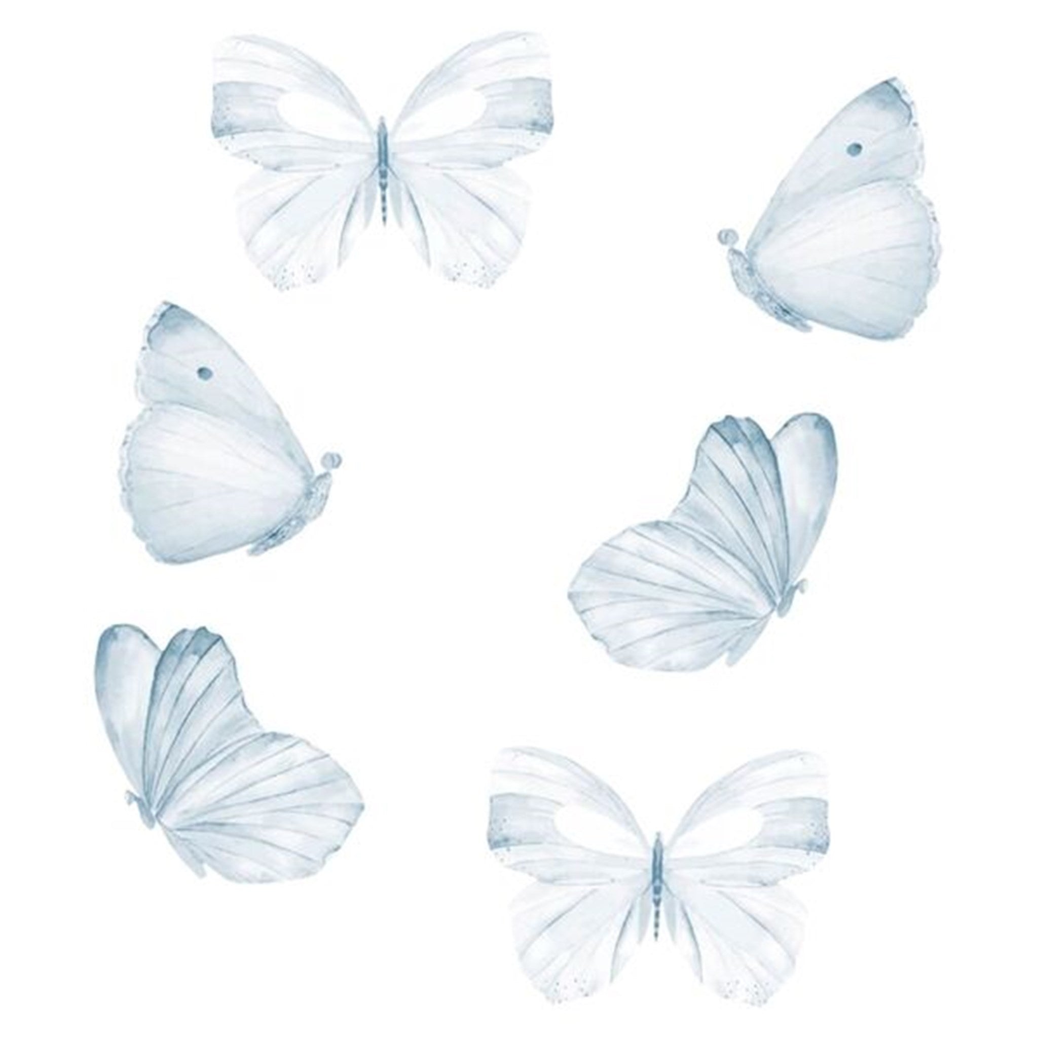That's Mine Wall Stories Butterflies Blue