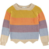 THE NEW Multi Olly Knit