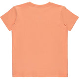 THE NEW Apricot Nectar Glace T-shirt 5