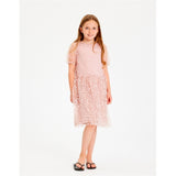 THE NEW Peach Beige Gracelyn Dress 3