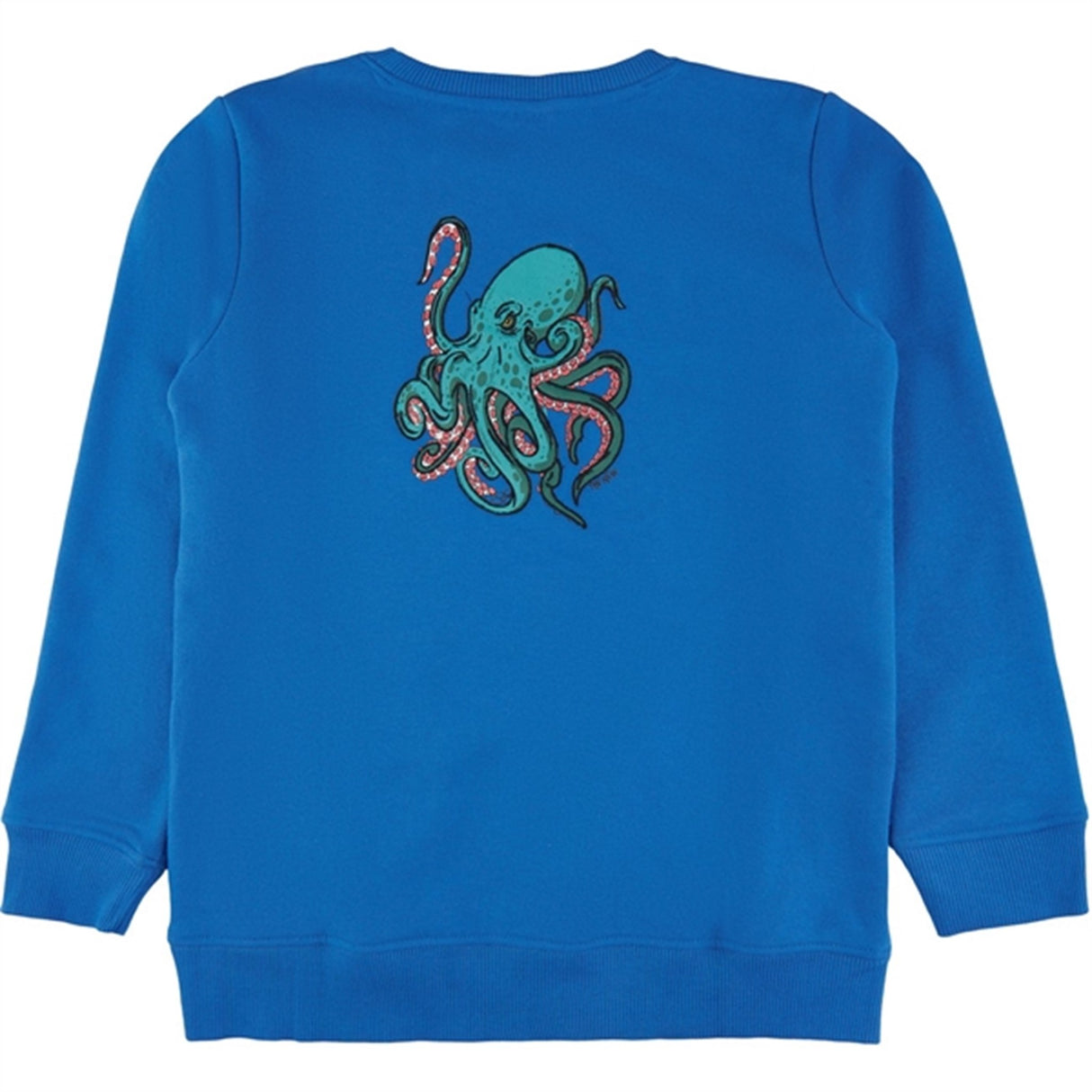 THE NEW Daphne Graham Sweatshirt 5