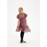 The New Nostalgia Rose Helen Dress 5